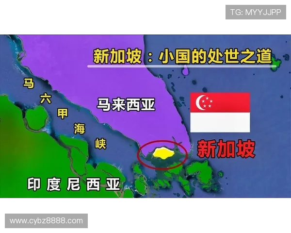 新加坡与印尼足球对决深度分析及未来比赛预测 新加坡与印尼足球对决深度分析及未来比赛预测