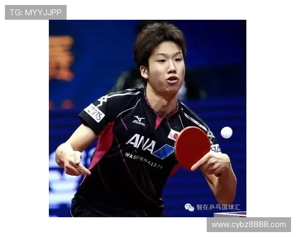 成都乒乓球队战术引发热议球迷与专家的观点碰撞分析